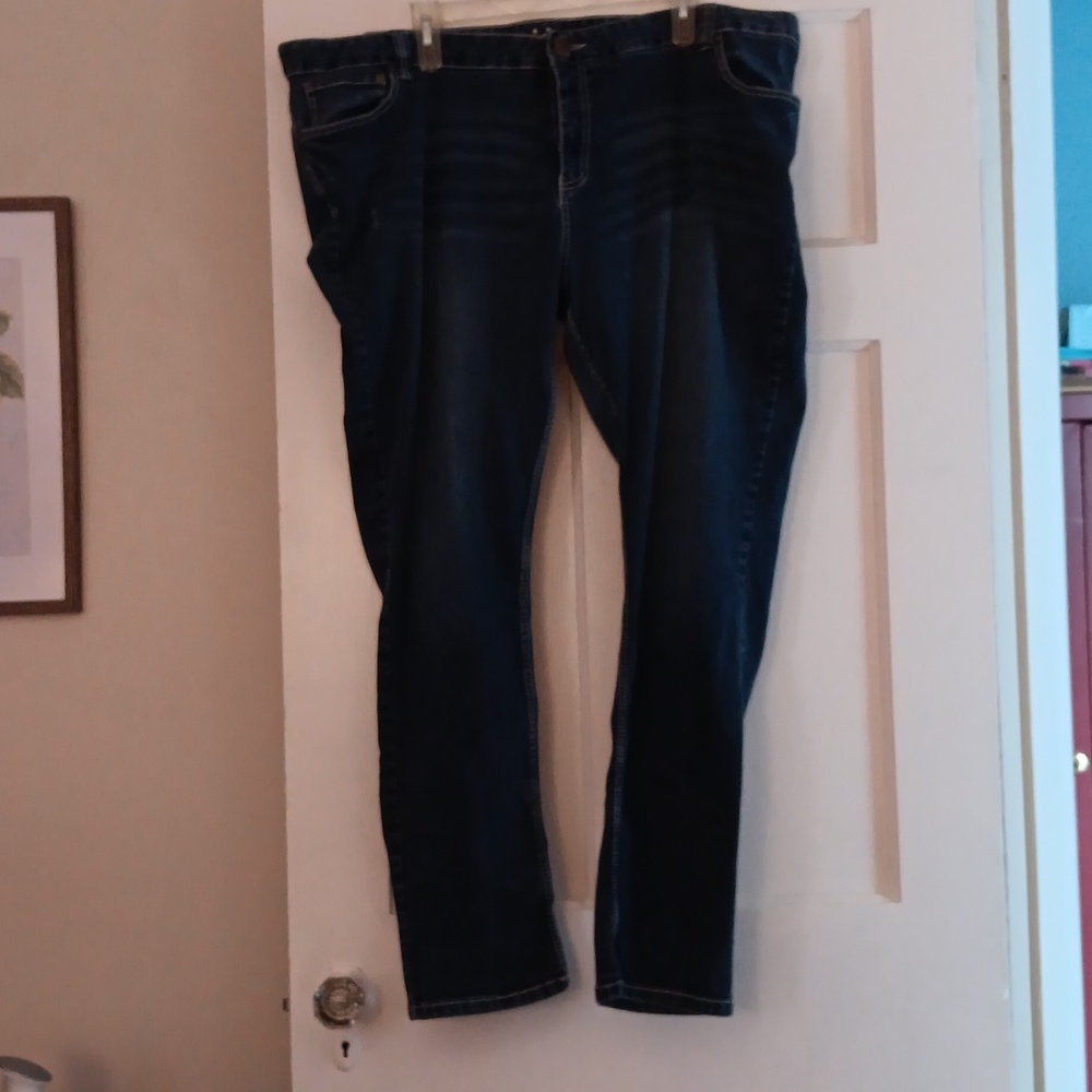Reign low rise womens plus size 24 skinny jeans